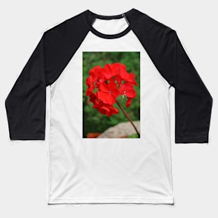 Red Geranium Baseball T-Shirt